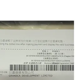 日嘉發展有限公司 logo