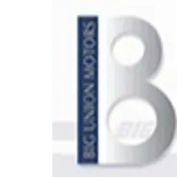 BigUnion Motors ( Group) Ltd logo
