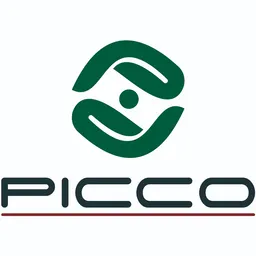 PICCO Bent Consultancy Limited logo