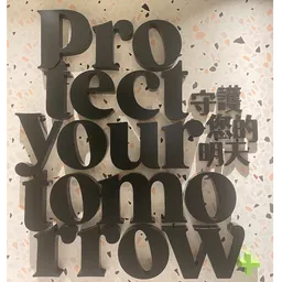 Protection Financial Inc logo