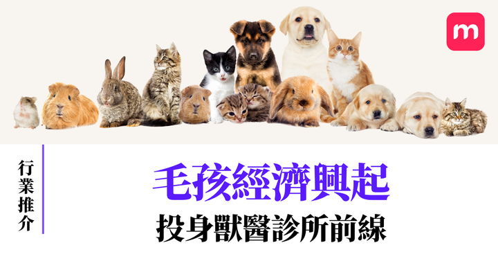 广告图