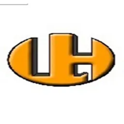 Li Hung International Company Limited logo