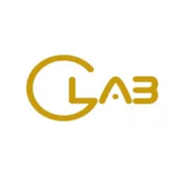 G-LAB FINANCIAL CONSULATATION CO. logo