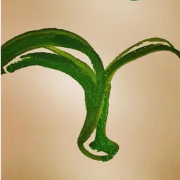 物流店 logo