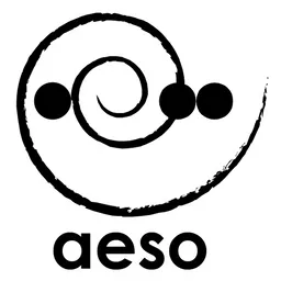Aeso Limited logo